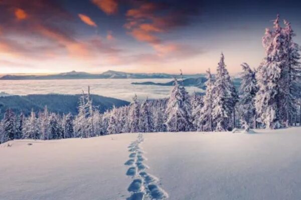 Best Places to Visit This Winter: Top Destinations for an Unforgettable Holiday 2026